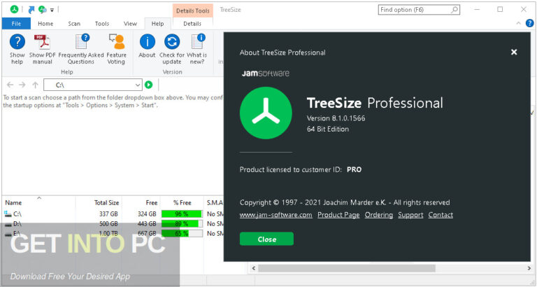 TreeSize Professional 2022 Free Download