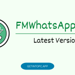 FMWhatsapp APK Download